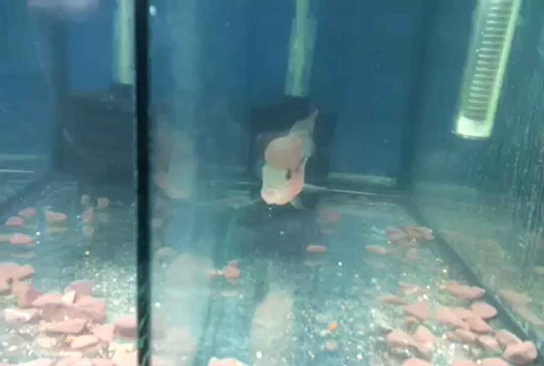 video-2013-03-03-03-26-23