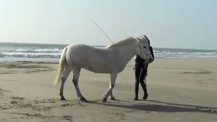 Première Plage - Lulu & Rumba