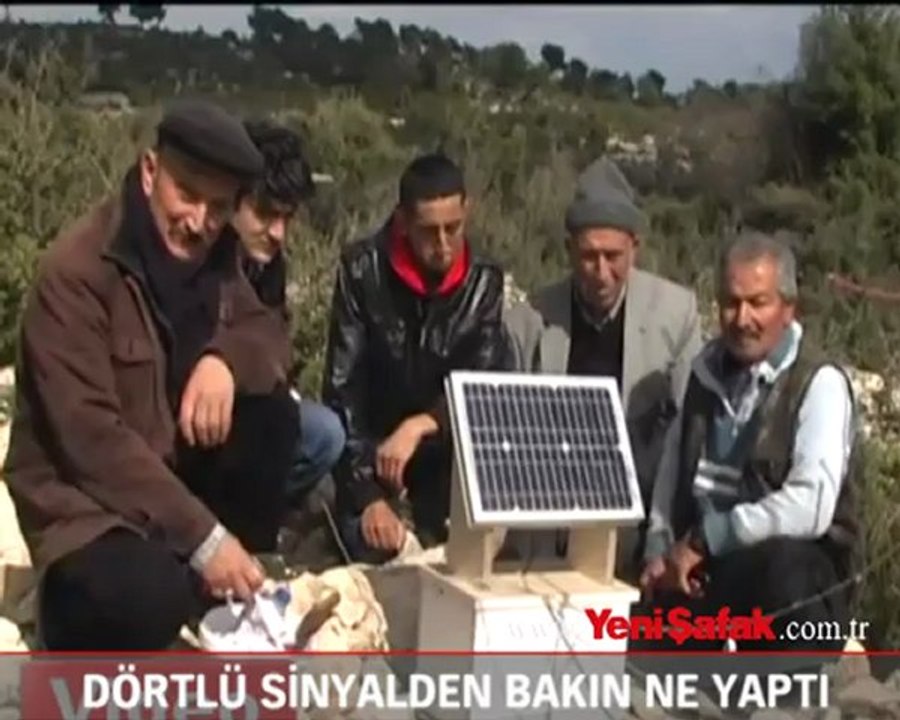 Dörtlü sinyalden etkilenip bakın ne yaptı