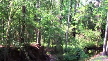 Minecraft IRL (Just Having Fun)