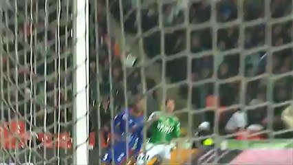 But BRANDAO (74ème) - AS Saint-Etienne - OGC Nice (4-0) - saison 2012/2013