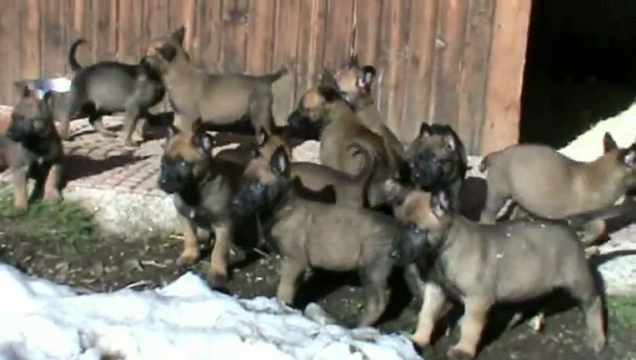 Be Aware F's - Sun is calling!