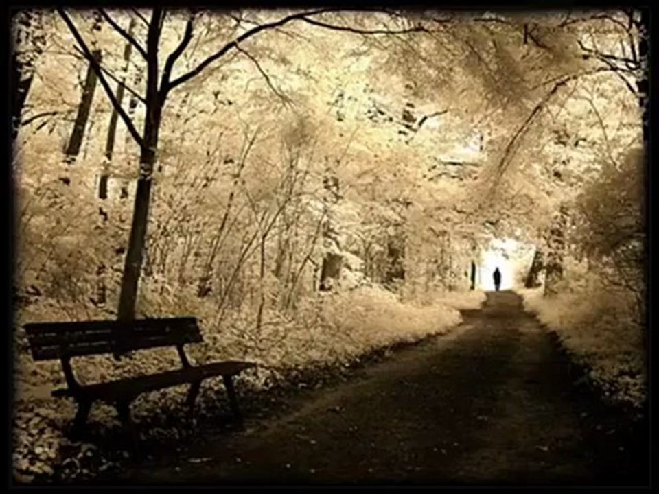 Hozan Beşir _ Ahmet Emre Boran ~~ Elfida