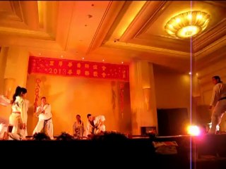 Démonstration casino Lyon vert