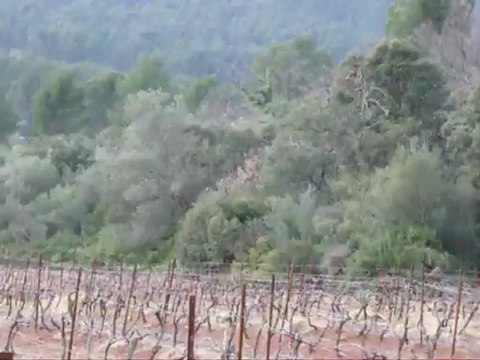 BruléParlesilluminés - Persécution aérienne 2 - 210213