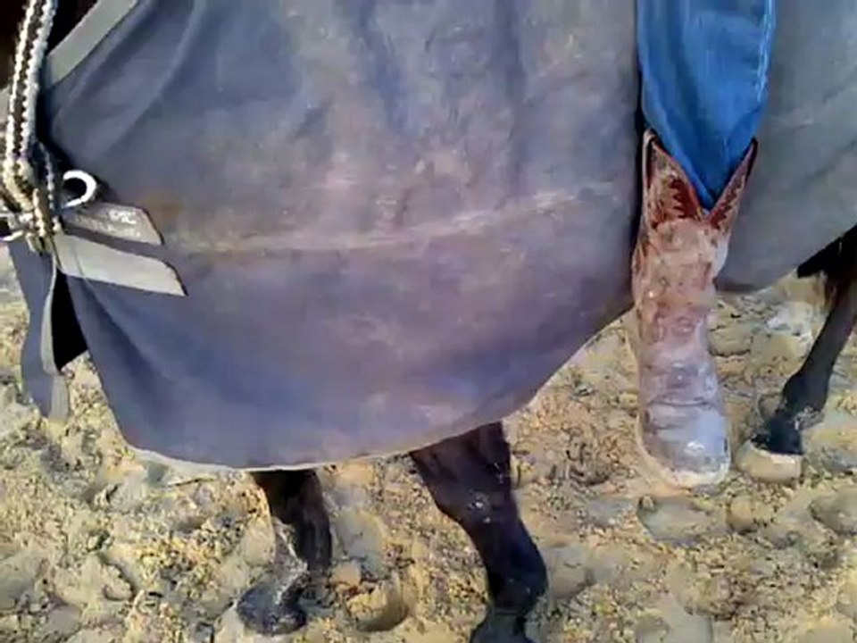 arrêts en cordelette au top !