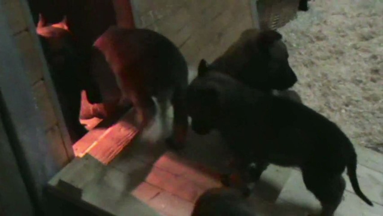 Be Aware F's - Sandman is coming!