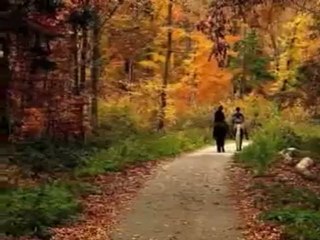 Hüseyin AY--Yıldızlar tutuşabilir.