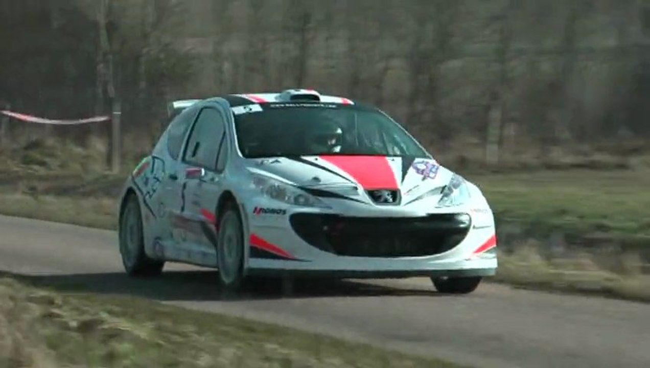 Rallye de Printemps 2013 - Grégory Dapoigny/Cyril Reiter