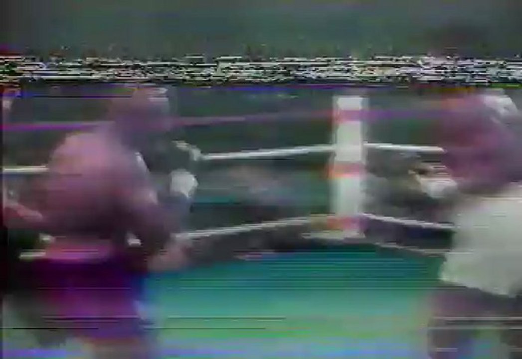 Marvin Hagler vs Marcos Geraldo 1980-05-17