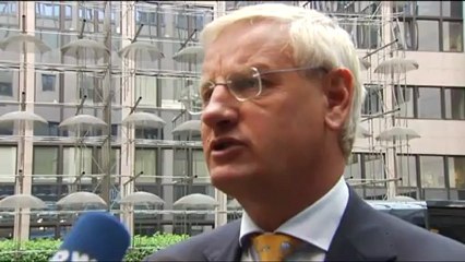 carl bildt - mass murderer - sudan africa