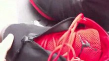 Air Jordan XX8,Air Jordan XX8 Black Electric Red-80$