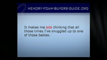 Contour Travel Pillow