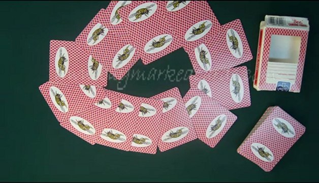 plástico jogando cartas Bee(With Picture)2 truque de mágica