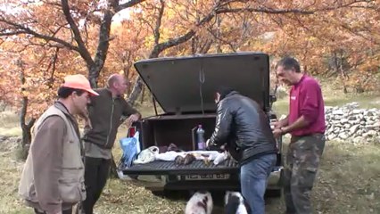 "Le SUD, vous en faites tout un plat" Salmi de bécasse
