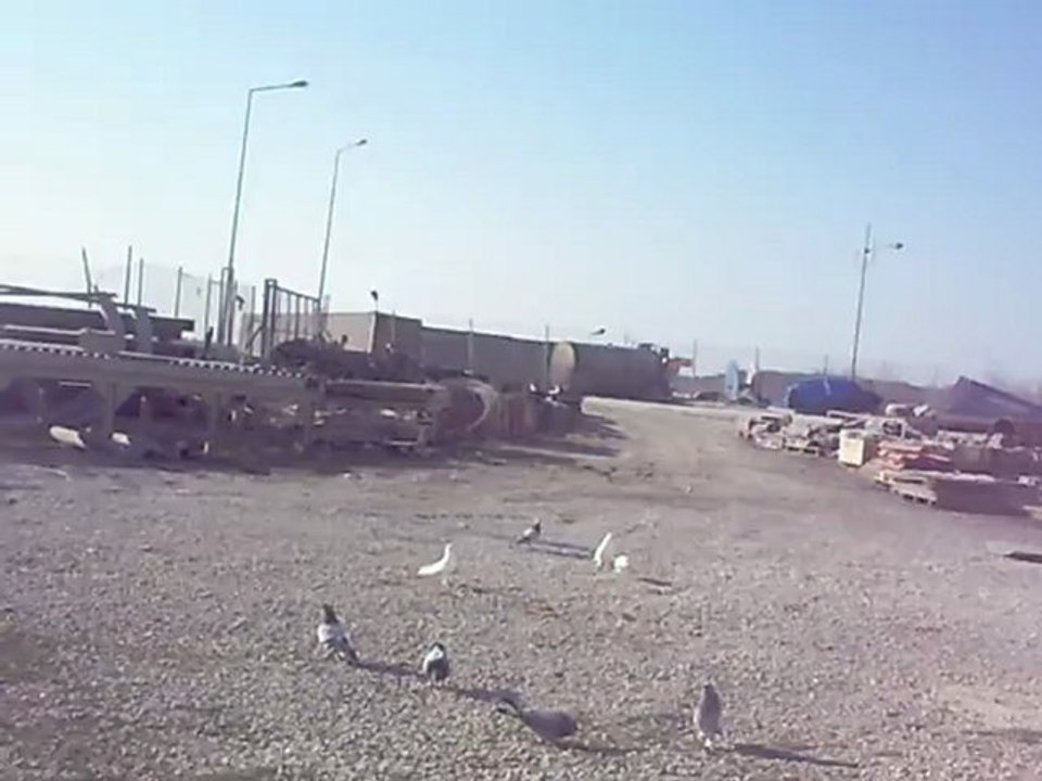 dumnlı