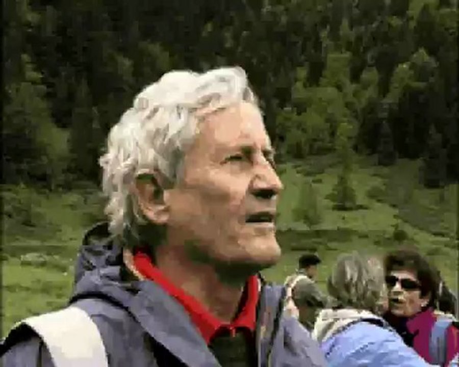 Des chevaux à l'assaut des Pyrénées