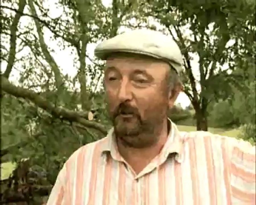 Orages. Mini-tornade en Tarn-et-Garonne