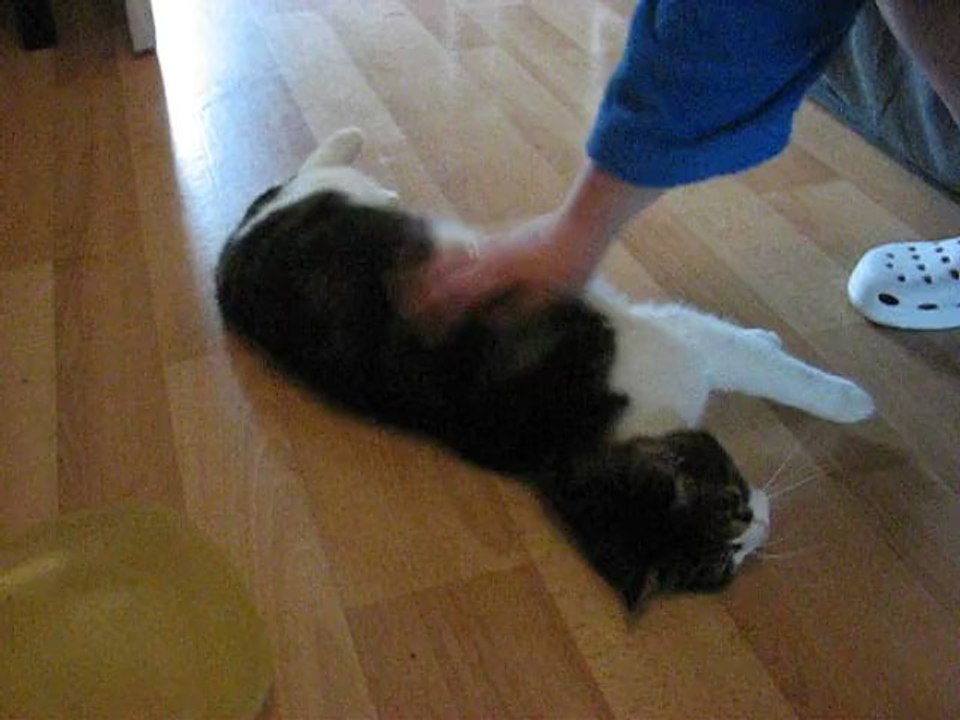 Didi aime les gratouilles