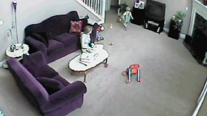 Un chat très dangereux !