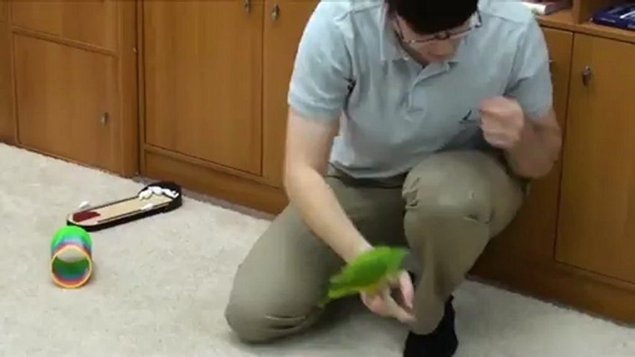 Les incroyables talents d'un perroquet