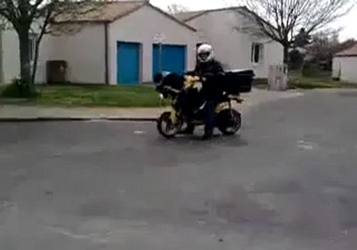 Facteur en roue arrière
