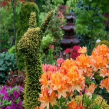 Красивые сады мира