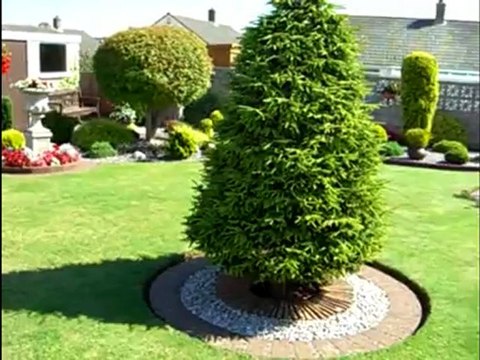 Красивые сады ч.1