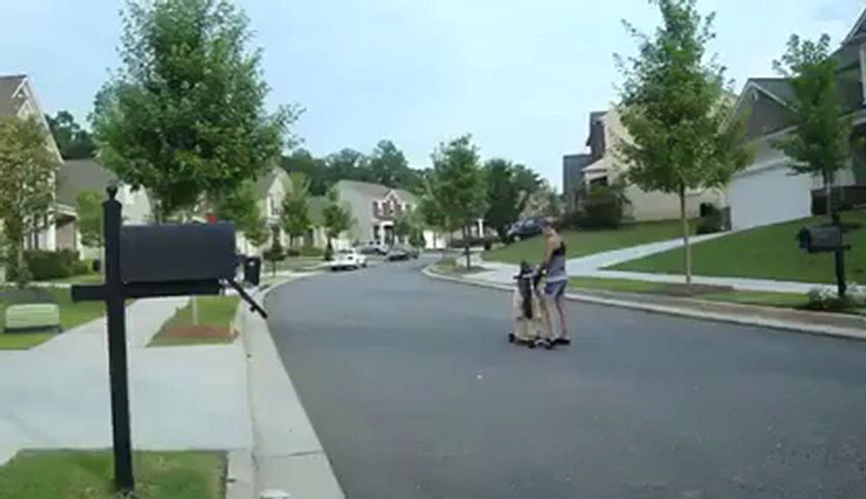 Un chien fait de la trottinette