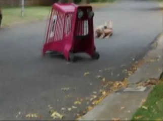 Une blonde fait ses courses...