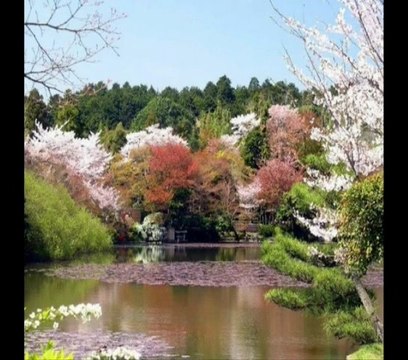 Сказочные сады Японии!