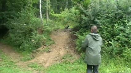 Chasse : gros plan sur un domaine d'entraînement