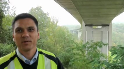 Des chauve-souris sous l'autoroute A64