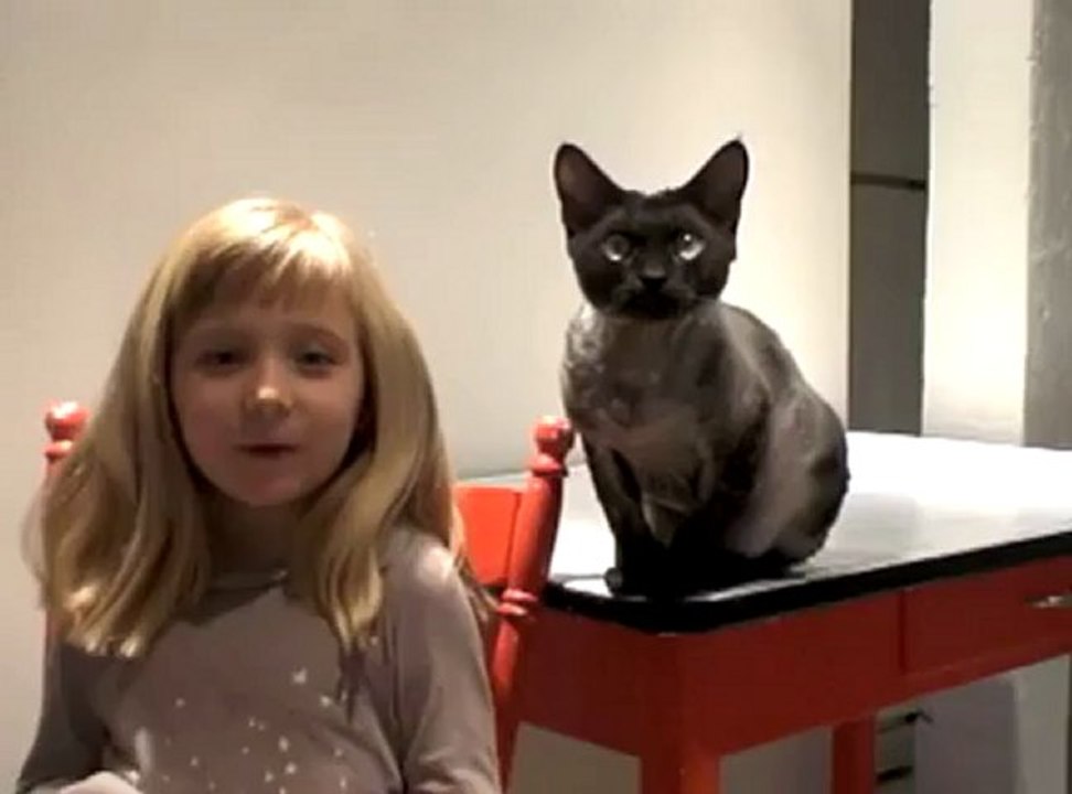 Le chat ninja