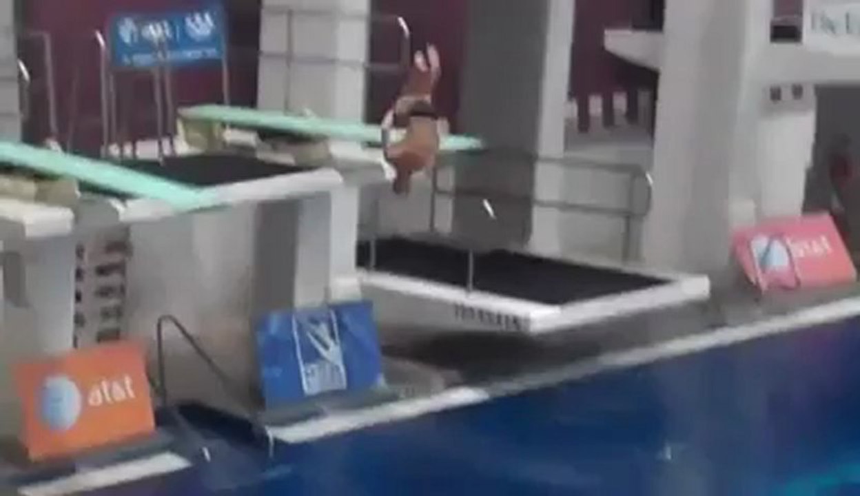 Un plongeon bien râté
