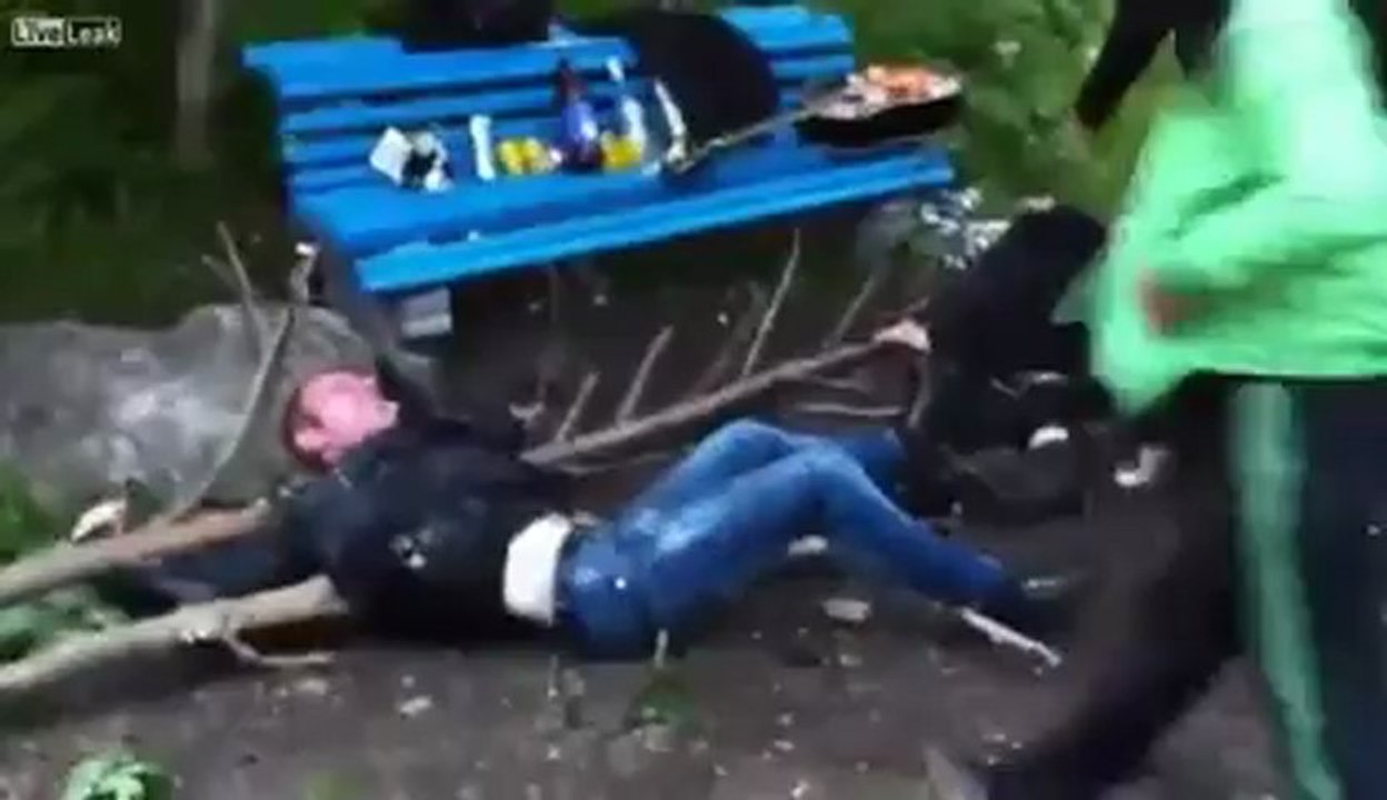 Ivres et perchés dans un arbre