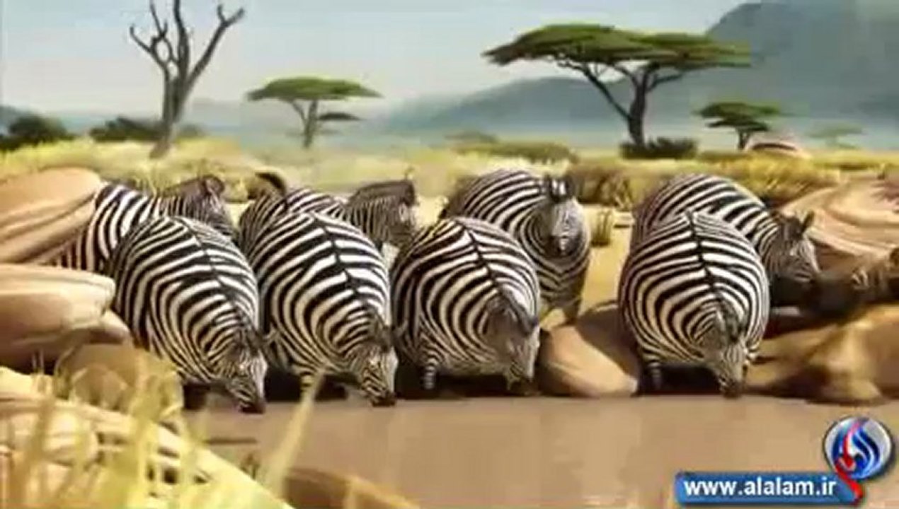 ماذا لو کانت الحیوانات کرویّة، ماذا سیصبح حینها، شاهد لتعرف أکثر....