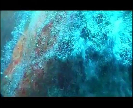 2004. Подводный мир А.Макаревича - 2.Тайны Йонагуни