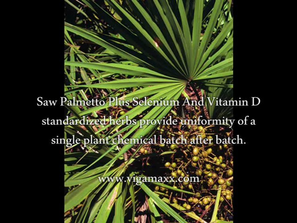 Saw Palmetto Plus Selenium And Vitamin D Review Does Saw Palmetto