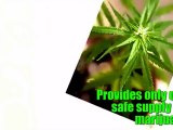 Dispensary Exchange.com Connects Medical Marijuana Vendors with Dispensaries
