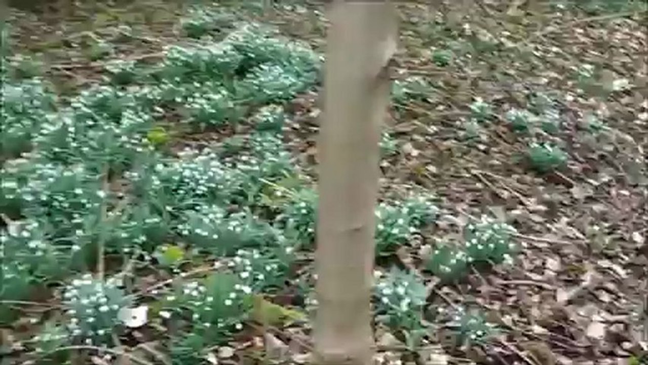 urbex session 40 chateau de la contesse