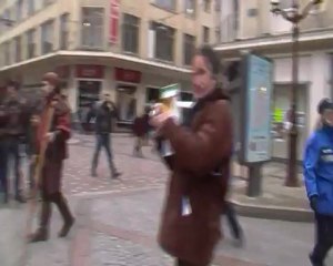 Des oies créent l'attraction à Beauvais