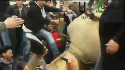 Syrie : une statue de Hafez Al-Assad détruite après la prise de Raqa