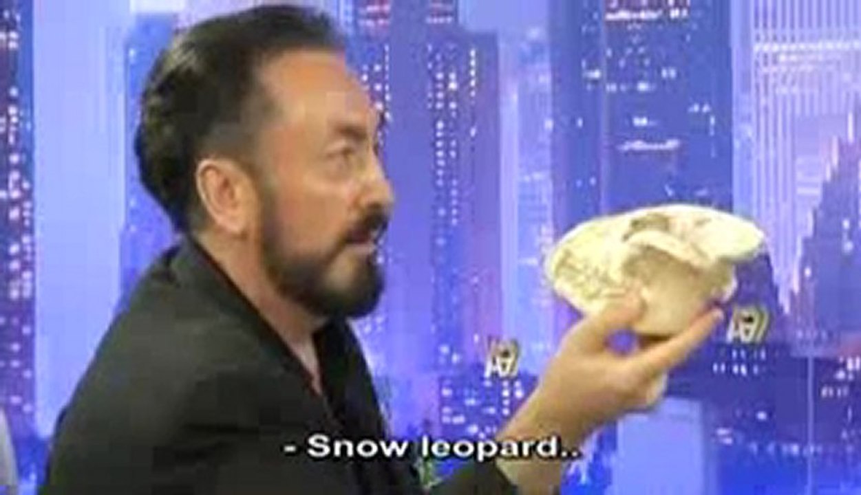 The fossil of the snow leopard aged 4.8 million years is exactly the same with the snow leopards of our day.