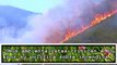 ONGs ambientalistas acusan a IU de favorecer con sus planteamientos los incendios forestales