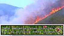 ONGs ambientalistas acusan a IU de favorecer con sus planteamientos los incendios forestales