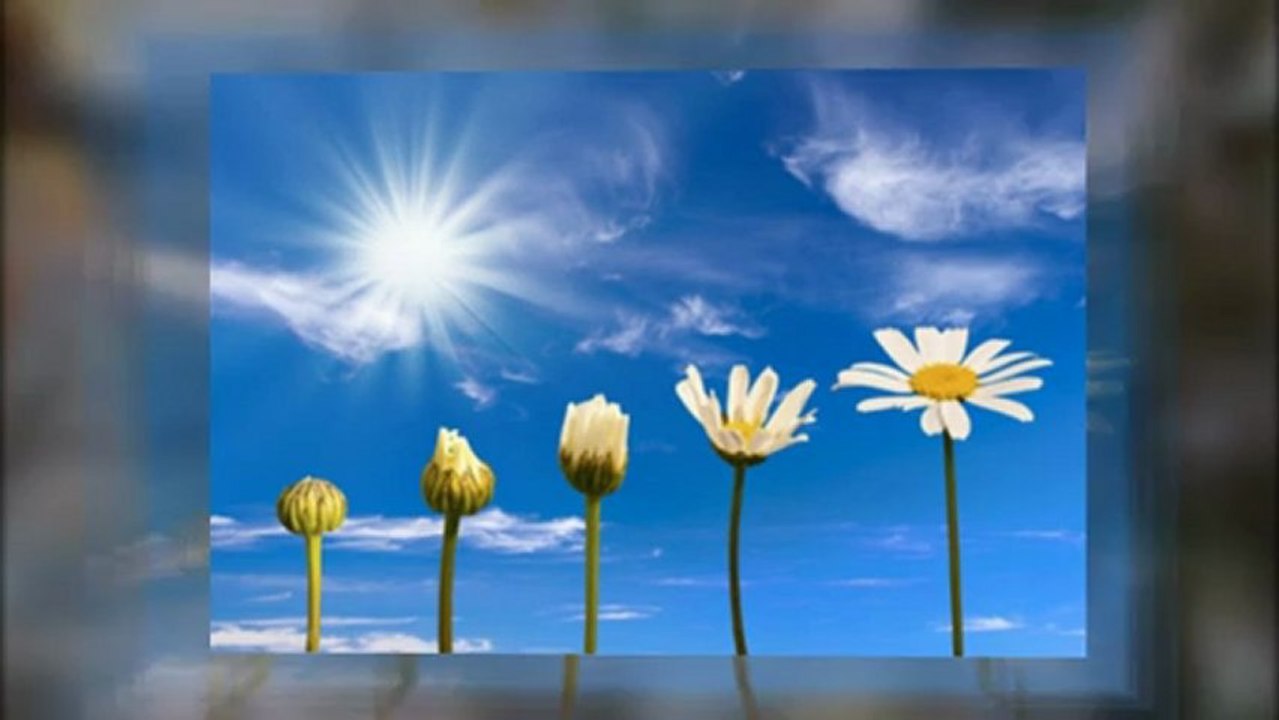 Londa Hotel - Tips For Organising a Successful Conference or Event