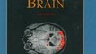 Medicine Book Review: From Neuron to Brain: A Cellular and Molecular Approach to the Function of the Nervous System, Fourth Edition by John G. Nicholls, A. Robert Martin, Bruce G. Wallace, Paul A. Fuchs