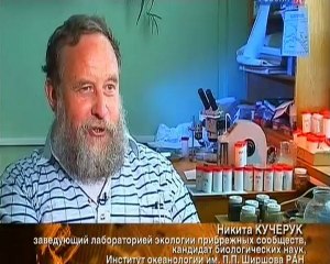 Кто съел рыбу в Чёрном море?