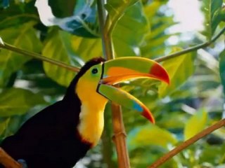 Bir Ay Doğar - Dilaver AVGÖREN